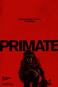 PRIMATE